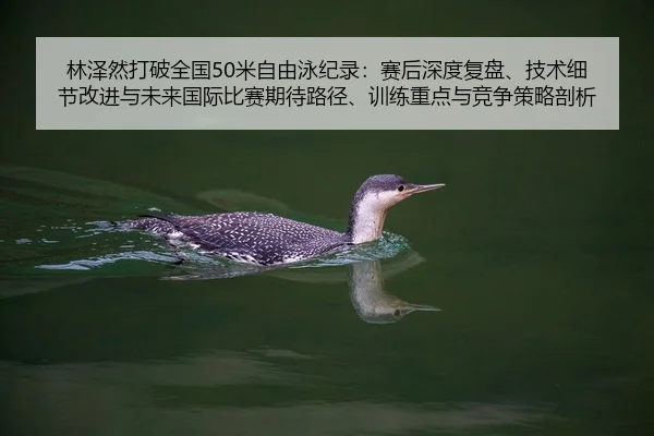 林泽然打破全国50米自由泳纪录：赛后深度复盘、技术细节改进与未来国际比赛期待路径、训练重点与竞争策略剖析